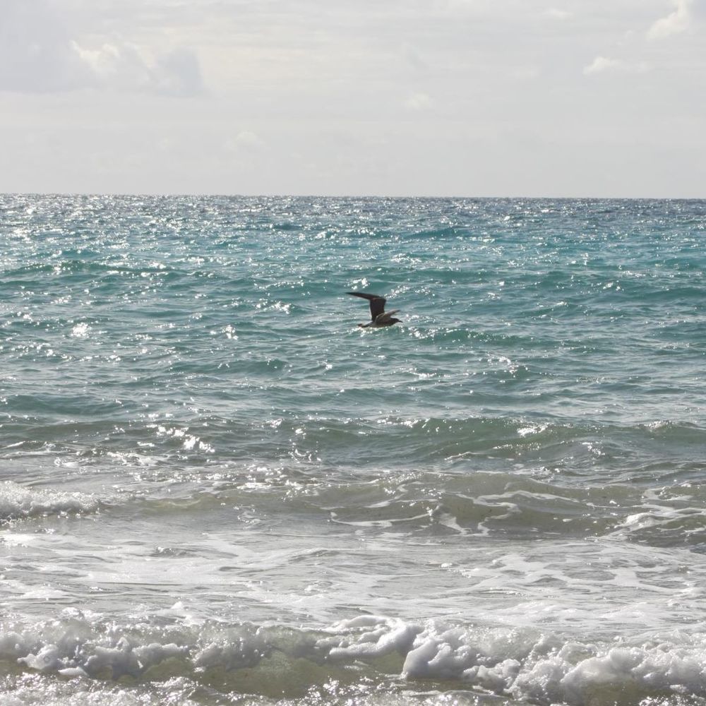 Meet your Posher, Paul